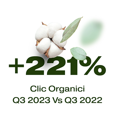 Immagine statica risultati +221% clic organici sul sito web Lady P
