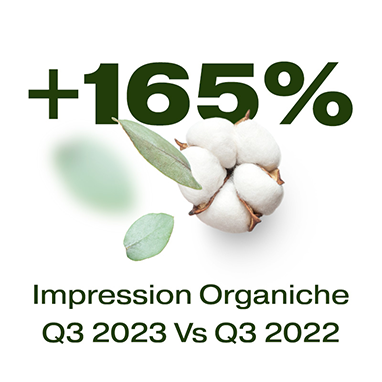 Immagine statica risultati +165% impression organiche sul sito web Lady P